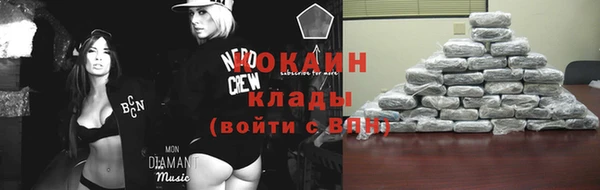соль ск Алзамай