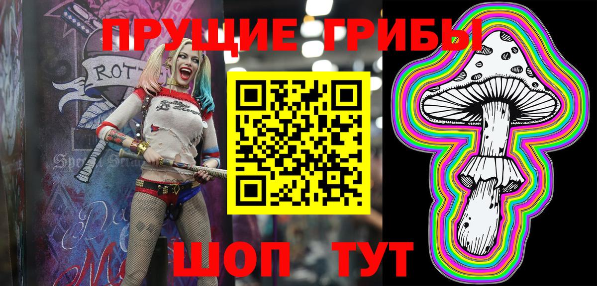 Сухой Лог  Псилоцибиновые грибы Magic Shrooms  закладка  Вход с VPN 