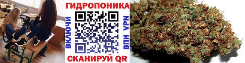 МАРИХУАНА White Widow Сухой Лог
